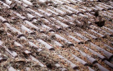 Stonyland roof cleaning companies