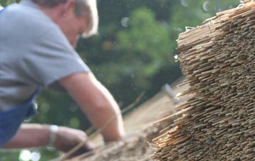 professional Stonyland thatchers